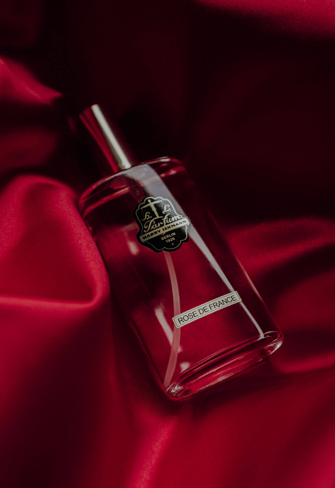 Rose de France